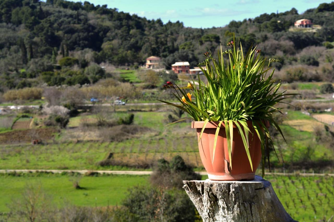 Villa Skafonas Sinarádes Exterior photo