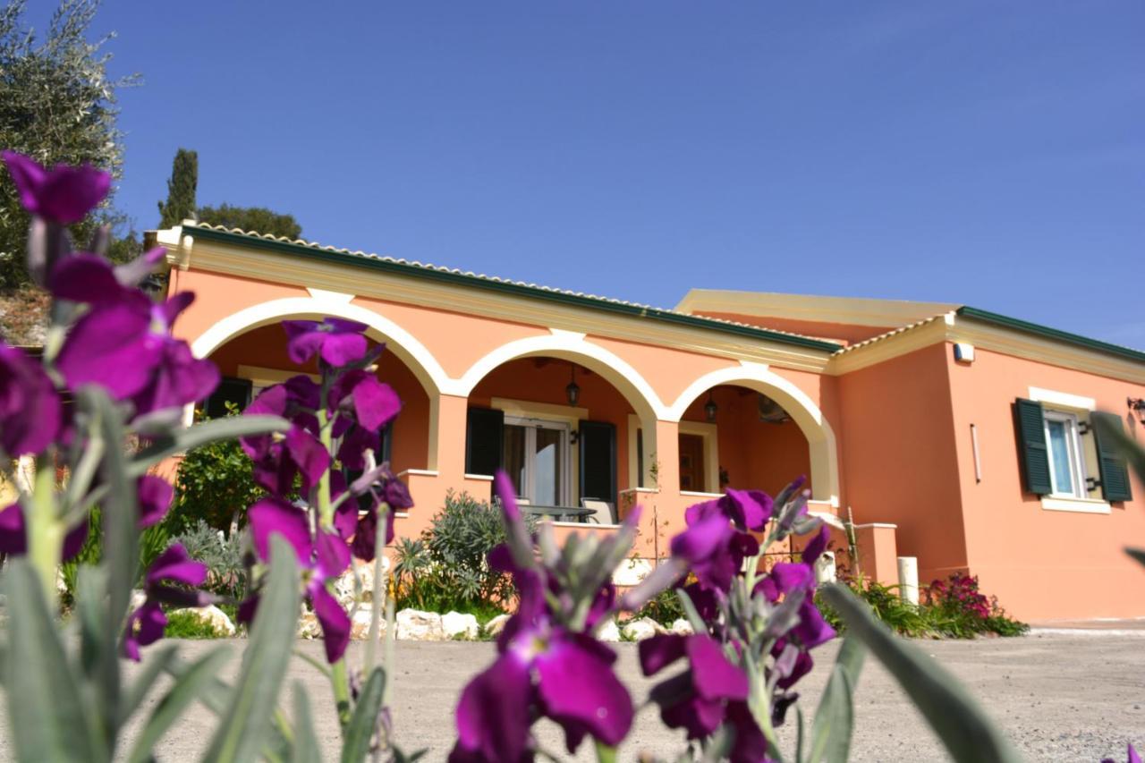 Villa Skafonas Sinarádes Exterior photo