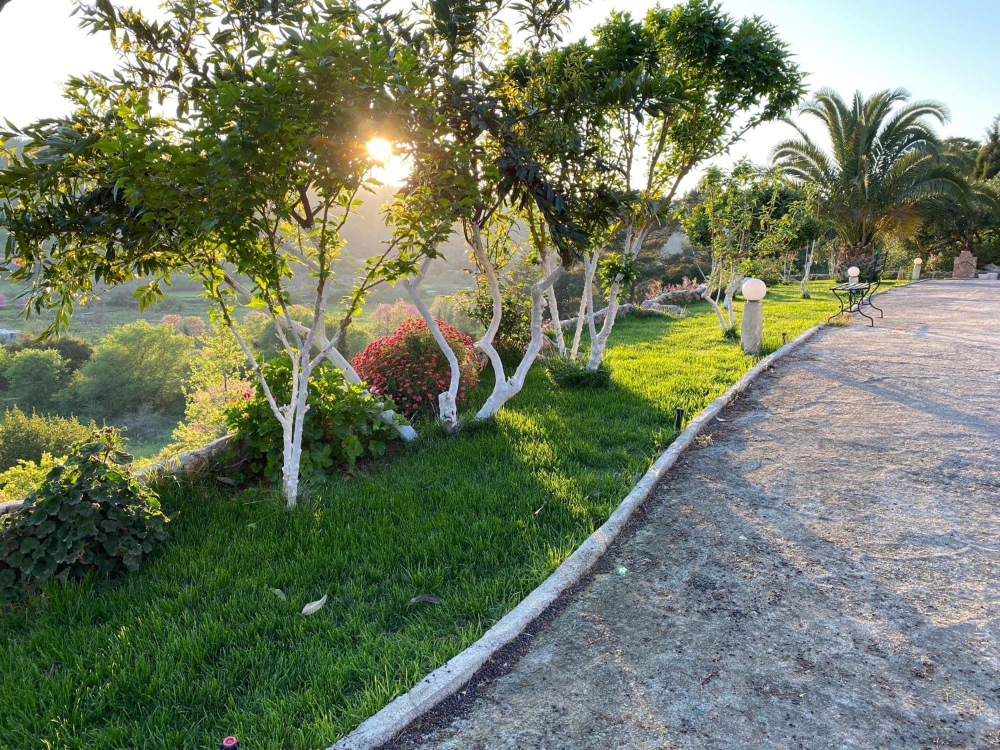 Villa Skafonas Sinarádes Exterior photo
